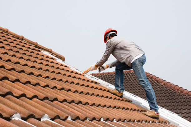 Best Sheet Metal Roofing  in Wickes, AR